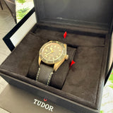 Tudor Black Bay