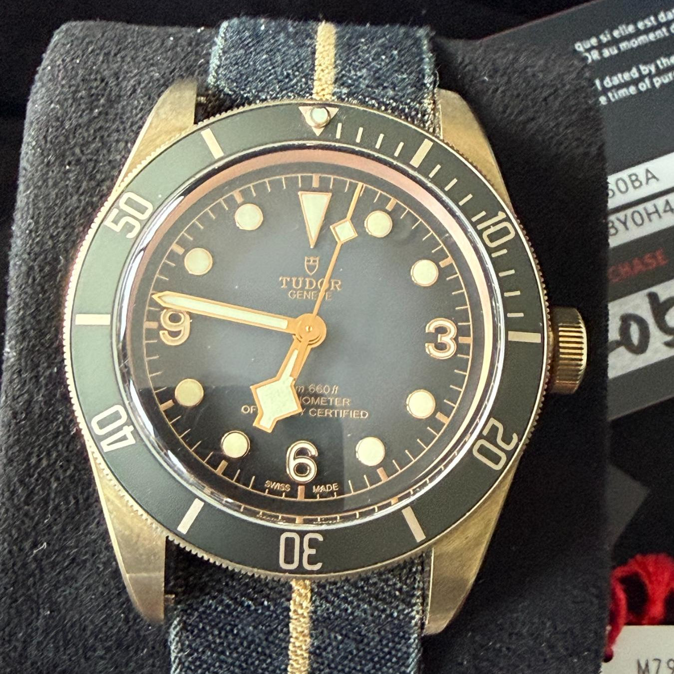 Tudor Black Bay