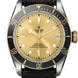 Tudor Black Bay S&G Ref - M79733N-0003