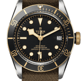Tudor Black Bay S&G Ref - M79733N-0005