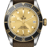Tudor Black Bay S&G Ref - M79733N-0006