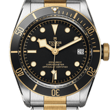 Tudor Black Bay S&G Ref - M79733N-0008